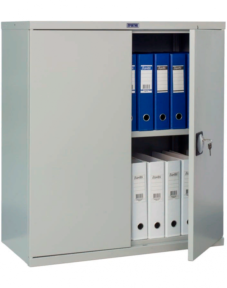 Шкаф Практик СВ-21 купить в Кемерово Шкаф Практик СВ-21 купить в Кемерово