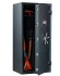Оружейный сейф TIGER 70 купить в Кемерово